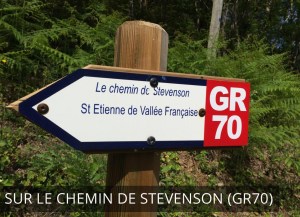 Chemin de Stevenson (GR70)